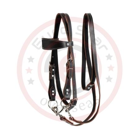 Horse Bridle